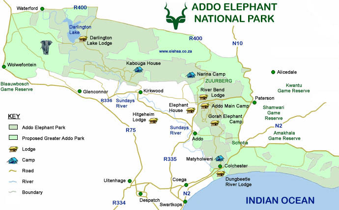 Safari in Südafrikas Addo Elefanten Nationalpark